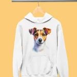 suichur-djak-rusel-1